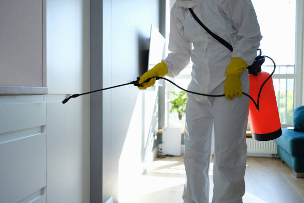 Best Commercial Mold Removal  in Utica, NY