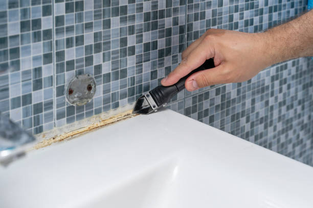 Best Mold Removal Near Me  in Utica, NY