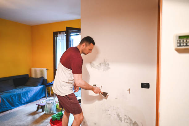 Best Office Mold Removal Services  in Utica, NY